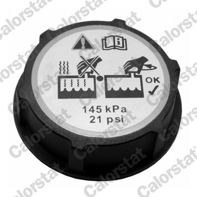 Vas expansiune racire (cu priza) potrivit FORD C-MAX, C-MAX II, FOCUS III, KUGA II, TOURNEO CONNECT V408 NADWOZIE WIELKO, TRANSIT CONNECT, TRANSIT CONNECT V408/MINIVAN 02.07- [4]