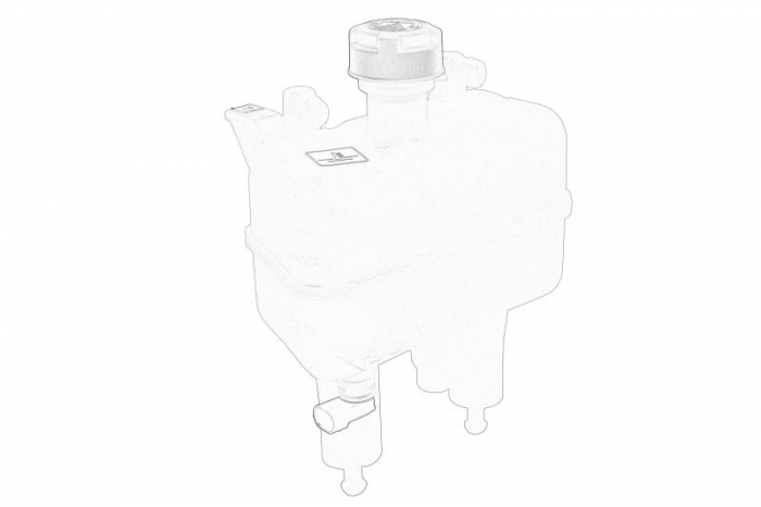 Vas expansiune racire (cu priza) potrivit PEUGEOT BOXER 07.19-