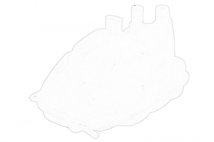 Vas expansiune racire potrivit AUDI A8 D3 10.02-07.10 [2]