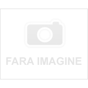 Curatare, Intretinere & Accesorii - Varioprimer 100ml Wurth