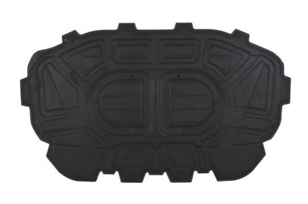 Amortizor portbagaj - Amortizor capota potrivit AUDI Q7 4L 03.06-08.15