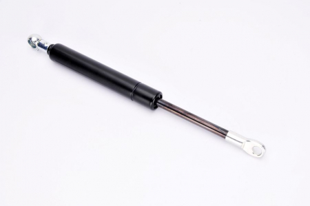 Amortizor portbagaj BMW Seria 5 Touring (E39) 1996-2004 [1]