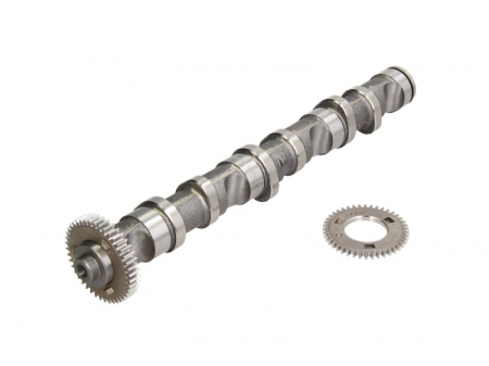 Ax came potrivit AUDI A4 B6, A4 B7, A6 C5; VW PASSAT B5.5 2.5D 02.00-05.06 [1]