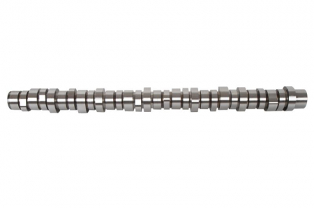 Axe - Ax cu came D13 potrivit VOLVO 9700, 9900, B13, FH, FH II, FH III, FM, FM II, FMX, FMX II, FMX III D13A460-D13K540S 09.05-