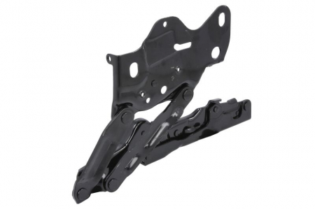 Balamale - Balama copota stanga potrivit BMW X3 G01 10.17-