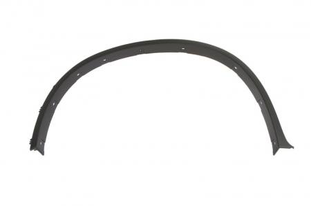 Ornamente - Bandou pentru aripa fata stanga BMW X6 E71, E72 dupa 2008