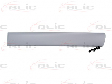 Ornamente - Bandou pentru usa spate stanga grunduita CITROEN BERLINGO intre 1996-2008