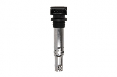 Aprindere - Bobina inductie potrivit AUDI A1, A2, A3, A4 B6, TT; NISSAN CUBE, PRIMERA, SENTRA V, TERRANO, WINGROAD / AD; SEAT ALHAMBRA, ALTEA, ALTEA XL, CORDOBA, IBIZA III, IBIZA IV, IBIZA IV SC 1.2-2.0 05.96-