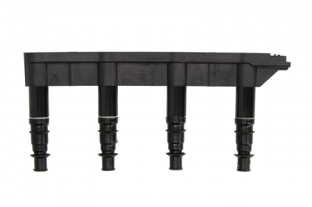 Aprindere - Bobina inductie potrivit CITROEN C2, C3 I, C4, C4 I; PEUGEOT 1007, 206, 207, 307 1.4 10.03-