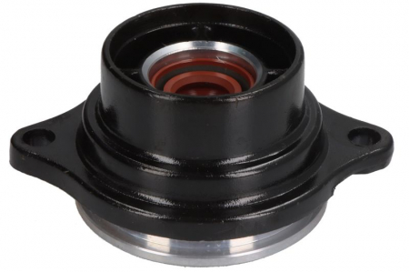 Elemente - Bucsa PARSUN