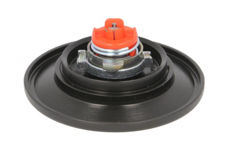 Buson capac rezervor combustibil (cu cheie) PEUGEOT 206, 206+ dupa 1998 [1]