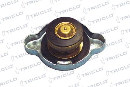 Buson radiator (0,9bar) potrivit MERCEDES 124 T-MODEL (S124), 124 (W124), E (A124); ACURA LEGEND II; ALFA ROMEO 145, 146, 155, 164, 75, 90, SPIDER; CHEVROLET ALERO 0.5-5.0 [1]