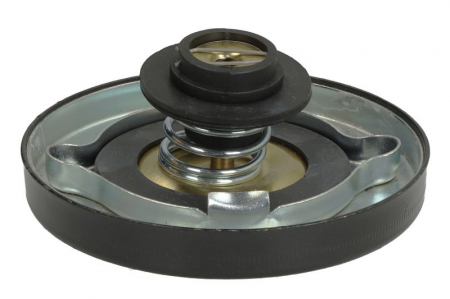 Buson radiator potrivit CASE IH 4000; DAVID maro 1000, 700, 800, 900; FIAT 200, 400, 4000, 500, 55-XX, 6000, 7000; FIATAGRI 400; FORD 200, 2000, 300, 3000 175DF-KT1150C [1]