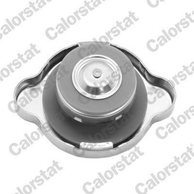 Buson vas expansiune (1,4bar) potrivit CITROEN C4 AIRCROSS, C-CROSSER, C-CROSSER ENTERPRISE; MITSUBISHI OUTLANDER II; NISSAN GT-R, MICRA II, TIIDA, X-TRAIL II; PEUGEOT 4007 1.5D-3.8 02.98- [1]