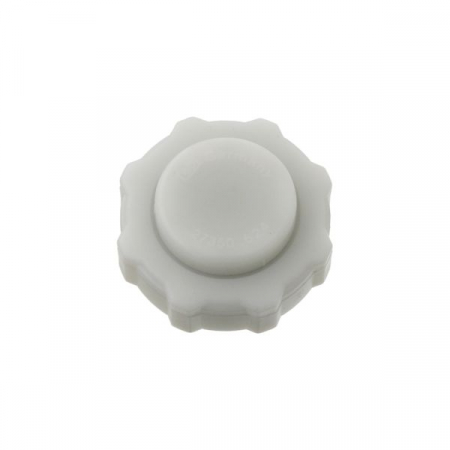 Vas expansiune - Buson vas expansiune (M46x3) potrivit RVI KERAX, MAGNUM, MIDLUM, PREMIUM, PREMIUM 2 dCi11-270-MIDR06.35.40P/41 09.90-