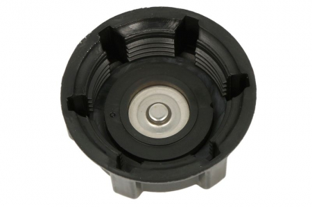 Buson vas expansiune (model nou) potrivit SCANIA 4, G I, P I, R I, T DC09.108-OC9.G04 05.95-05.19 [1]