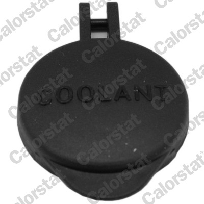 Vas expansiune - Buson vas expansiune potrivit HYUNDAI CRETA, ELANTRA IV, ELANTRA V, ELANTRA VI, GRANDEUR, I30, SONATA V, SONATA VI, TUCSON, TUCSON/SUV; KIA CARNIVAL III, CEE'D, CEED 1.0-3.3 06.04-