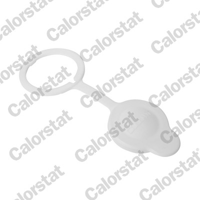 Vas expansiune - Buson vas expansiune potrivit MITSUBISHI ASX, COLT CZC VI, COLT VI, GALANT IX, LANCER VIII, OUTLANDER II, OUTLANDER III; SUBARU BRZ, FORESTER, IMPREZA, LEGACY II, LEGACY III 1.1-3.6 02.94-