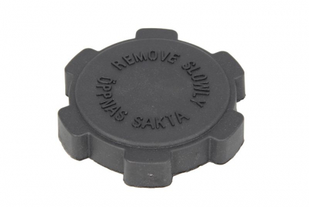 Vas expansiune - Buson vas expansiune potrivit SCANIA 3 DS11.34-DTC11.02 03.88-12.96