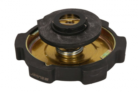 Buson vas expansiune potrivit SCANIA 3 DS11.34-DTC11.02 05.87-12.96 [1]