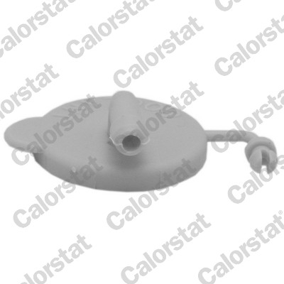 Vas expansiune - Buson vas expansiune potrivit SUBARU BRZ, FORESTER, IMPREZA, LEGACY II, LEGACY III, LEGACY IV, LEGACY OUTBACK, LEGACY V, LEGACY VI, LEVORG, OUTBACK, TRIBECA, WRX, XV 1.5-3.6 08.92-