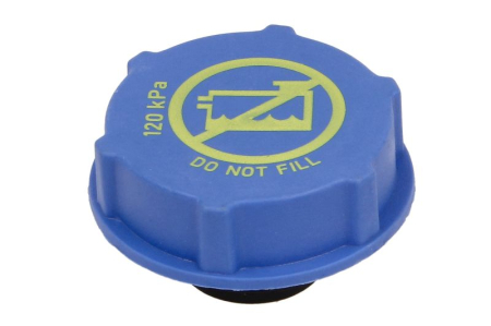 Vas expansiune - Buson vas expansiune potrivit VOLVO FH II D13C420-D13K540 01.12-