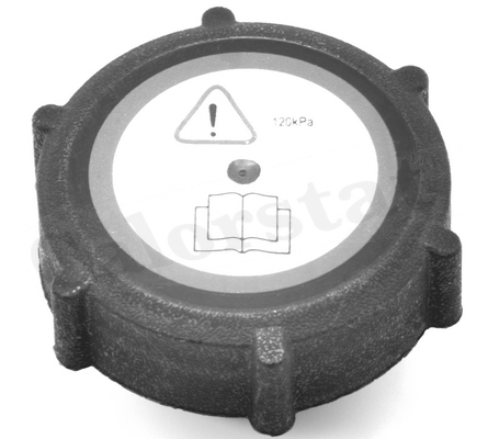 Vas expansiune - Capac vas expansiune (1,2bar) FORD COUGAR, MONDEO I, MONDEO II, MONDEO III, TRANSIT; MAZDA TRIBUTE 1.6-3.0 intre 1994-2008