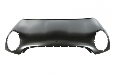 Capota motor MINI MINI (R56) [0]