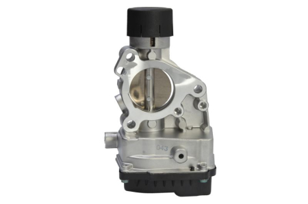 Carcasa clapeta potrivit RENAULT ESPACE IV, GRAND SCENIC II, LAGUNA II, MEGANE II, SCENIC II 2.0 11.02- [1]