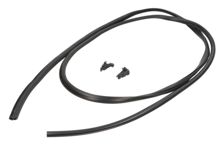 Usa - Cheder Fata potrivit RENAULT MEGANE SCÉNIC, SCENIC I 1996-2003