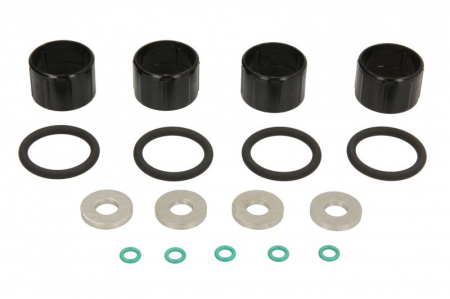 Injectoare - Chit reparatie injectoare DELPHI 2.0 HDI/DW10 potrivit DS DS 5; CITROEN C4 GRAND PICASSO I, C4 II, C4 PICASSO I, C4 PICASSO II, C5 III, C8, DS4, DS5 2.0D/2.0DH dupa 2000 - (cu inel O pentru corp)