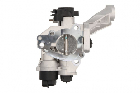 Clapeta control admisie aer RENAULT CLIO II, CLIO III, KANGOO, TWINGO I 1.2 dupa 1997 [3]