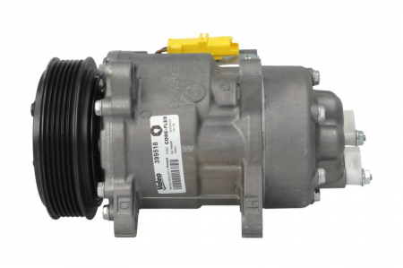 Compresor clima Ac - Compresor A/C potrivit PEUGEOT 206, 307 1.9D/2.0D 09.98-12.09