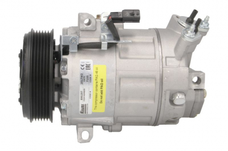 Compresor clima Ac - Compresor climatizare potrivit NISSAN QASHQAI I 2.0 02.07-12.13