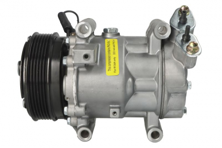 Compresor clima Ac - Compresor climatizare potrivit RENAULT CLIO II 2.0 02.00-06.09