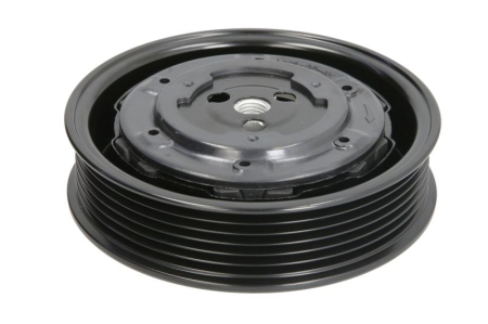 Elemente compresor AC - Cupla magnetica compresor climatizare (DENSO 7SEU17C 12V 66PK 110mm) potrivit LAND ROVER DISCOVERY III, RANGE ROVER SPORT I 4.4 2004-2013