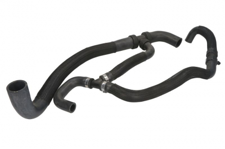 Conducta racire - Furtun radiator inferior (/31,15mm) potrivit RENAULT KANGOO EXPRESS, KANGOO II 1.5D 06.08-