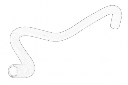 Conducta racire - Furtun radiator potrivit SEAT ALHAMBRA; VW SHARAN 1.9D/2.0D 11.02-03.10