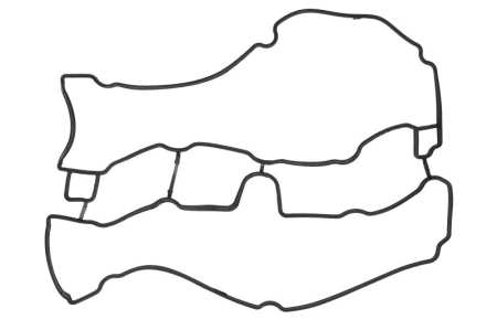Garnituri - Garnitura capac supape potrivita CHEVROLET ASTRA, VIVA; OPEL ASTRA G, ASTRA H, ASTRA H GTC, CORSA C, MERIVA A, SIGNUM, TIGRA, VECTRA B, VECTRA C, VECTRA C GTS, ZAFIRA A 1.8 1995-2015