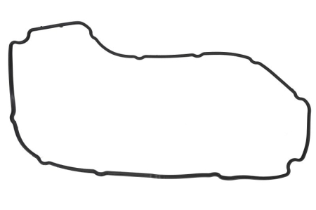 Garnituri - Garnitura capac supape potrivita CITROEN JUMPER II; FIAT DUCATO; FORD MONDEO III, TRANSIT, TRANSIT TOURNEO; LAND ROVER DEFENDER; PEUGEOT 106 II, BOXER 1.6-2.4D dupa 1996
