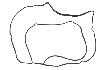 Garnituri - Garnitura capac supape potrivita FORD B-MAX, C-MAX, C-MAX II, ECOSPORT, FIESTA, FIESTA VI, FOCUS C-MAX, FOCUS II, FOCUS III, FOCUS III/HATCHBACK, FOCUS II/KOMBI 1.2-1.6LPG dupa 2003
