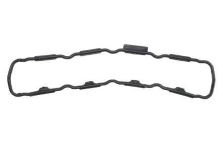 Garnituri - Garnitura capac supape potrivit VOLVO S40 I, V40; ARO CARPAT; MITSUBISHI CARISMA, SPACE STAR; NISSAN INTERSTAR, PRIMASTAR, PRIMERA; OPEL MOVANO A, VIVARO A; RENAULT CLIO II 1.9D 03.97-