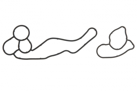 Piese Auto - Garnitura carcasa filtru ulei potrivit BMW 5 (F10), 5 (F11), 7 (F01, F02, F03, F04), X5 (E70), X5 (F15, F85), X6 (E71, E72), X6 (F16, F86) 3.0D 08.11-07.19