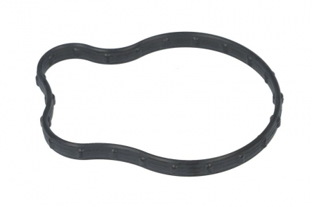 Garnituri - Garnitura carcasa termostat potrivit JEEP GLADIATOR, GRAND CHEROKEE, GRAND CHEROKEE IV 3.6 07.13-