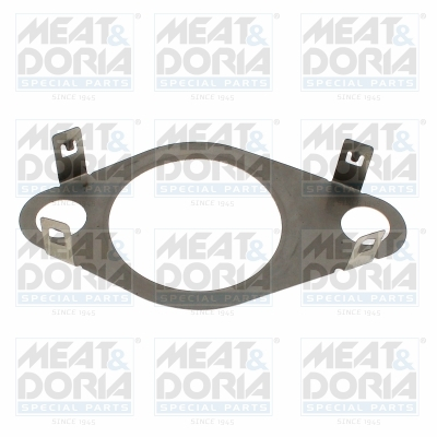 Garnituri - Garnitura EGR potrivit NISSAN QASHQAI I; RENAULT GRAND SCENIC III, MEGANE, MEGANE III, SCENIC III 1.6D 04.11-09.16