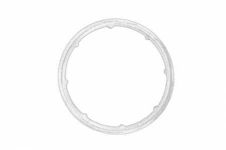Garnituri - Garnitura flansa lichid racire potrivit OPEL ASTRA G, ASTRA H, ASTRA H CLASSIC, ASTRA H GTC, ASTRA J, ASTRA J GTC, CORSA D, CORSA E, INSIGNIA A, MERIVA A, MOKKA / MOKKA X, SIGNUM 1.6-1.8 03.00-