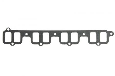 Garnitura motor - Garnitura galerie admisie potrivit HYUNDAI TERRACAN; KIA CARNIVAL I, CARNIVAL II 2.9D 1999-2006