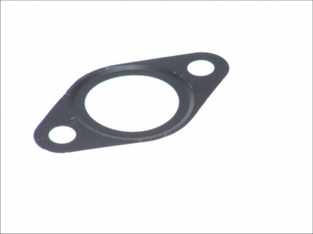 Piese Auto - Garnitura galerie evacuare Lema IVECO S2000 EGR (F1AE0481) (X6)