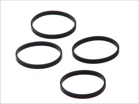 Elemente admisie aer - Garnitura galerie evacuare (pentru cilindru: 1/2/3/4) BMW Seria 1 (E81), 1 (E82), 1 (E87), 1 (E88), 3 (E90), 3 (E91), 3 (E92), 3 (E93), 5 (E60), 5 (E61) 1.6/2.0 intre 2006-2013