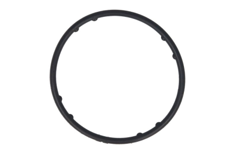 Garnituri - Garnitura pompa apa potrivita MAN TGE; AUDI A1, A3, A4 ALLROAD B8, A4 ALLROAD B9, A4 B8, A4 B9, A5, A6 C7, A6 C8, Q2, Q3, Q5, TT; SEAT ALHAMBRA, ARONA, ATECA CAAA-DXRB dupa 2007 (76, 4x4mm)